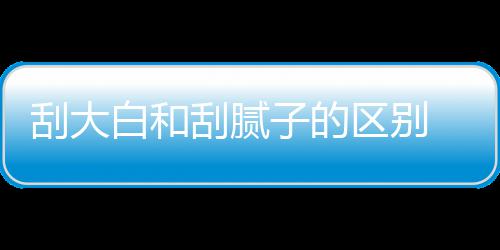 白和子的大白多少刮大刮腻 刮平米区别钱一呢